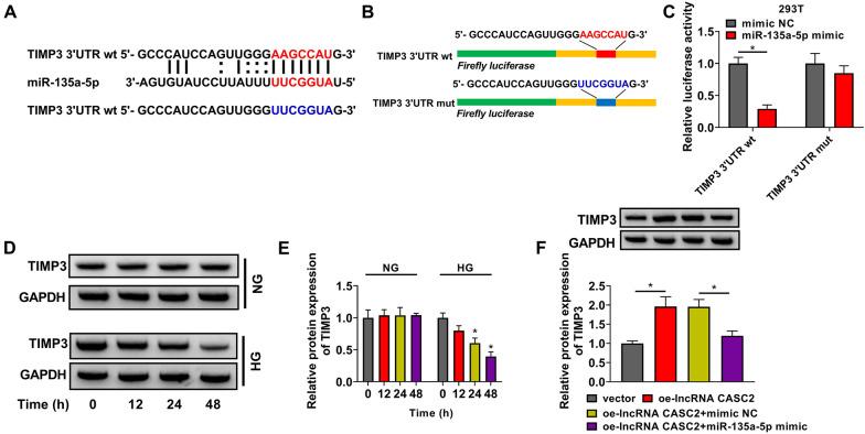 https://cdn.ncbi.nlm.nih.gov/pmc/blobs/9334/8393478/b146ff2644e7/13098_2021_709_Fig4_HTML.jpg
