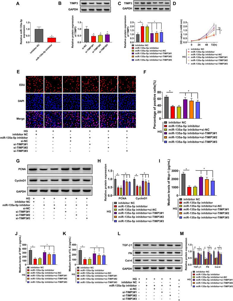 https://cdn.ncbi.nlm.nih.gov/pmc/blobs/9334/8393478/d01e842b50b3/13098_2021_709_Fig5_HTML.jpg