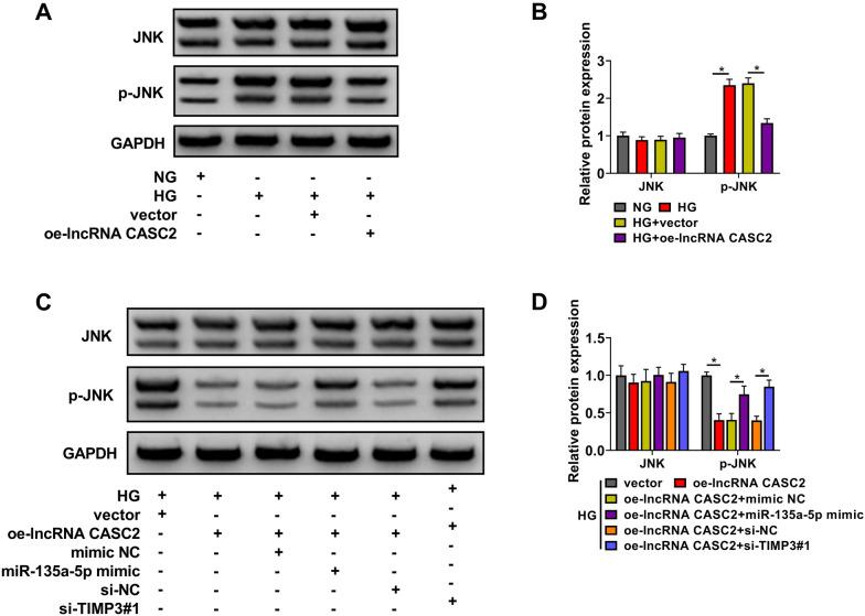 https://cdn.ncbi.nlm.nih.gov/pmc/blobs/9334/8393478/d7b481882949/13098_2021_709_Fig6_HTML.jpg