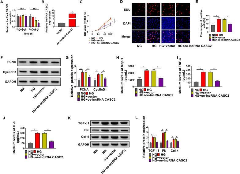 https://cdn.ncbi.nlm.nih.gov/pmc/blobs/9334/8393478/ee4f21a4dcd0/13098_2021_709_Fig1_HTML.jpg
