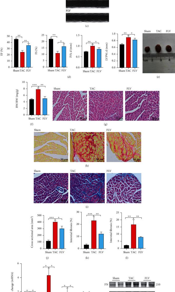 https://cdn.ncbi.nlm.nih.gov/pmc/blobs/9335/7801073/50f9357998e0/OMCL2021-8836818.005.jpg