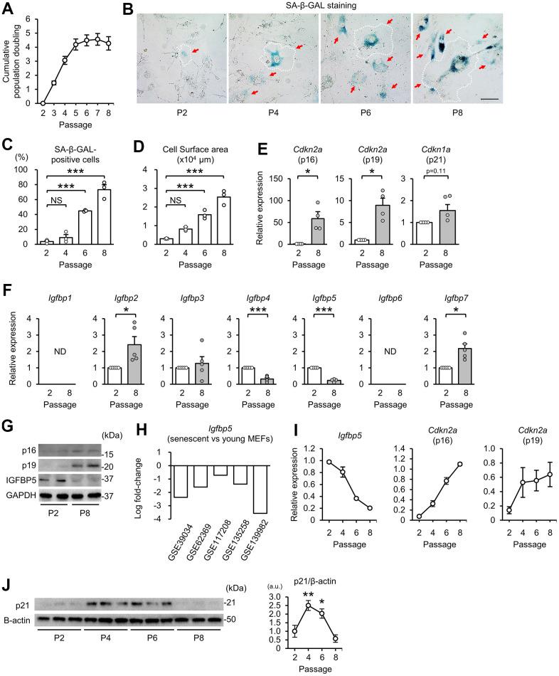 https://cdn.ncbi.nlm.nih.gov/pmc/blobs/9337/9037271/f4b9080f5c47/aging-14-203999-g001.jpg