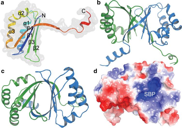 https://cdn.ncbi.nlm.nih.gov/pmc/blobs/9338/8093152/b6c59ecbe81b/12033_2021_314_Fig1_HTML.jpg
