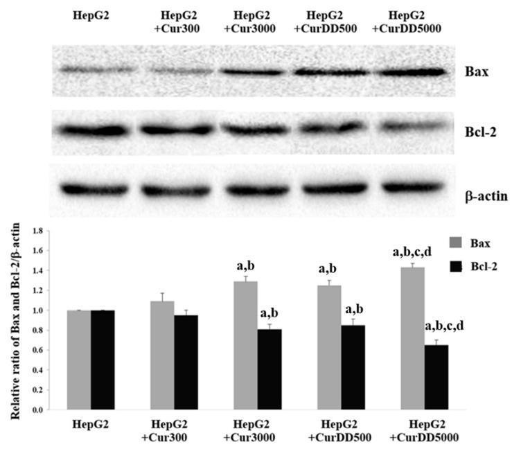 https://cdn.ncbi.nlm.nih.gov/pmc/blobs/933b/6723761/08e25e9ad50a/pharmaceutics-11-00373-g005.jpg