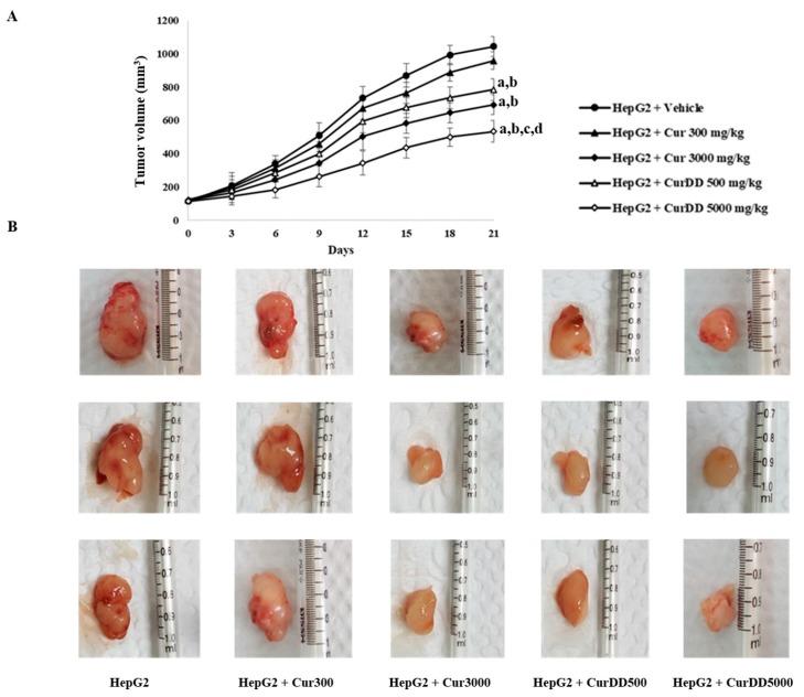 https://cdn.ncbi.nlm.nih.gov/pmc/blobs/933b/6723761/cb51211a5872/pharmaceutics-11-00373-g003.jpg