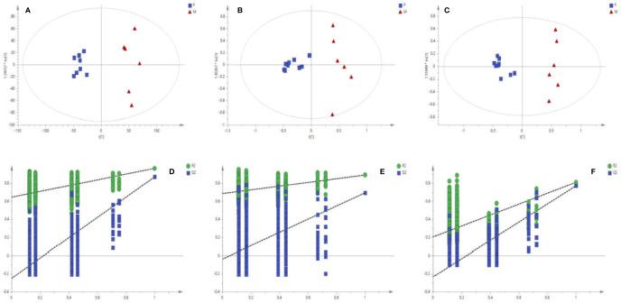 https://cdn.ncbi.nlm.nih.gov/pmc/blobs/933b/7518030/26201b49df1e/fphar-11-507113-g002.jpg