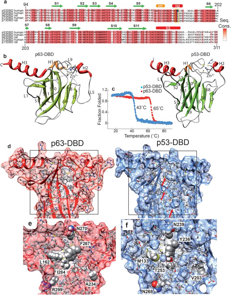 https://cdn.ncbi.nlm.nih.gov/pmc/blobs/933c/4880913/80137d0d04cc/srep26707-f2.jpg