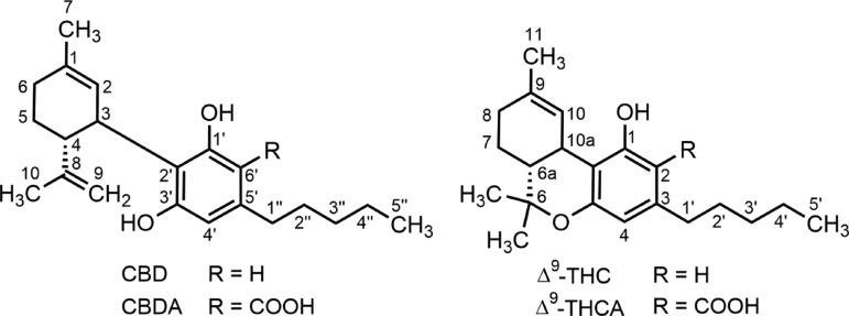 https://cdn.ncbi.nlm.nih.gov/pmc/blobs/933c/5576600/5108d5b46d45/fig-1.jpg