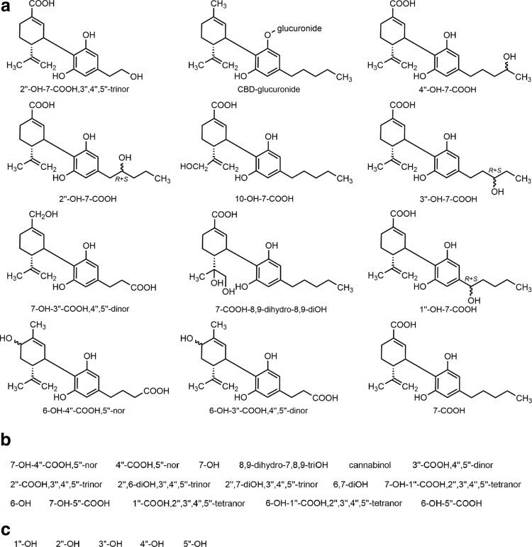 https://cdn.ncbi.nlm.nih.gov/pmc/blobs/933c/5576600/6535e1b15f86/fig-2.jpg
