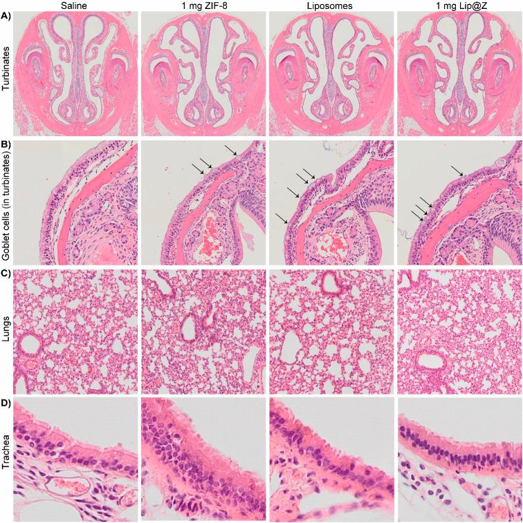 https://cdn.ncbi.nlm.nih.gov/pmc/blobs/933d/10231336/132e4e59044a/d3sc00500c-f5.jpg