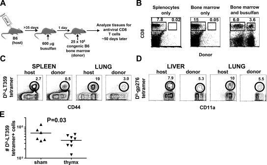 https://cdn.ncbi.nlm.nih.gov/pmc/blobs/933d/2118117/643098279942/jem2032263f03.jpg