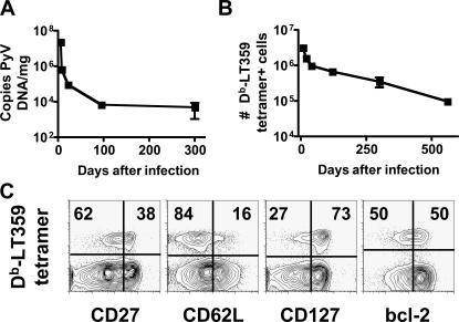 https://cdn.ncbi.nlm.nih.gov/pmc/blobs/933d/2118117/f1c063e66670/jem2032263f01.jpg