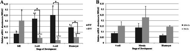 https://cdn.ncbi.nlm.nih.gov/pmc/blobs/933e/4235398/7b2d95b19850/mrd0081-0552-f1.jpg