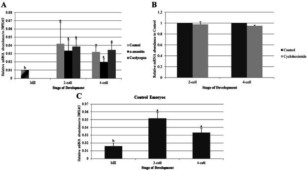 https://cdn.ncbi.nlm.nih.gov/pmc/blobs/933e/4235398/b7722e100818/mrd0081-0552-f2.jpg