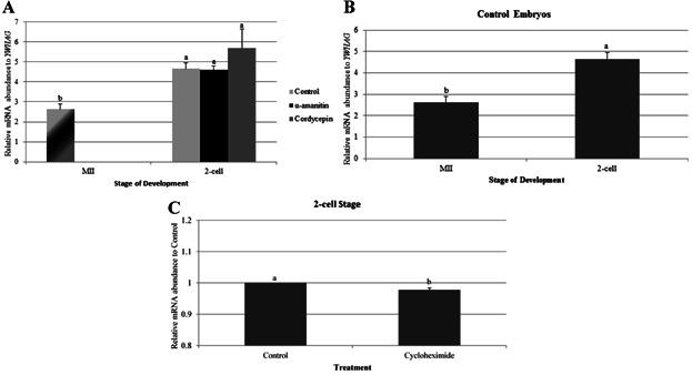 https://cdn.ncbi.nlm.nih.gov/pmc/blobs/933e/4235398/c7d00b508af8/mrd0081-0552-f3.jpg