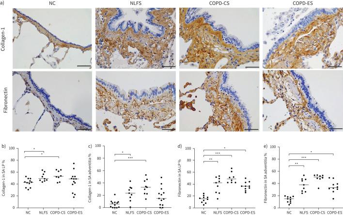 https://cdn.ncbi.nlm.nih.gov/pmc/blobs/933e/8181830/b7e29c5c3d5e/00876-2020.04.jpg