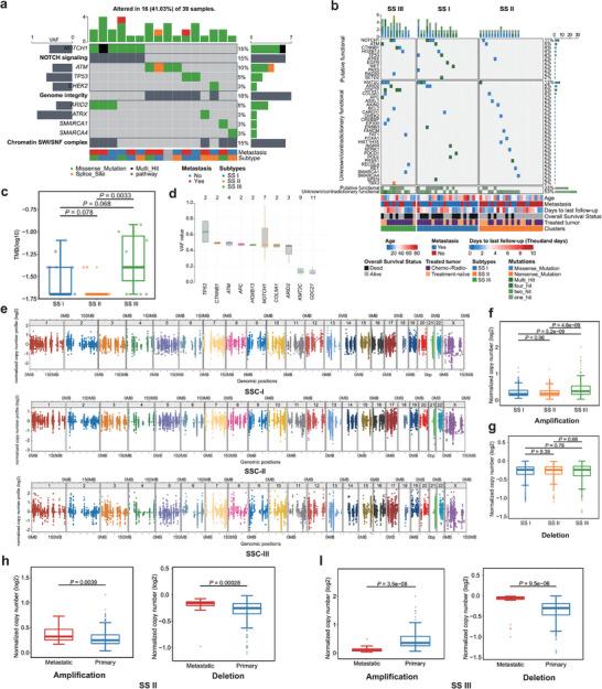 https://cdn.ncbi.nlm.nih.gov/pmc/blobs/9340/11892499/24973be278a8/ADVS-11-2404510-g001.jpg