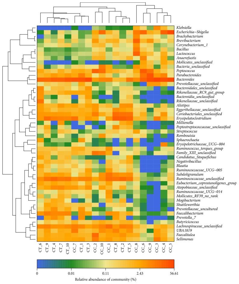 https://cdn.ncbi.nlm.nih.gov/pmc/blobs/9340/6431443/526cda9d545f/BMRI2019-9015054.012.jpg