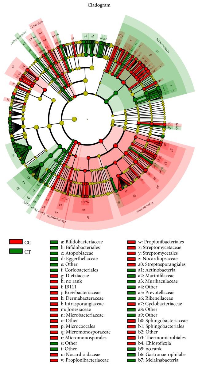 https://cdn.ncbi.nlm.nih.gov/pmc/blobs/9340/6431443/d2d723b418da/BMRI2019-9015054.013.jpg