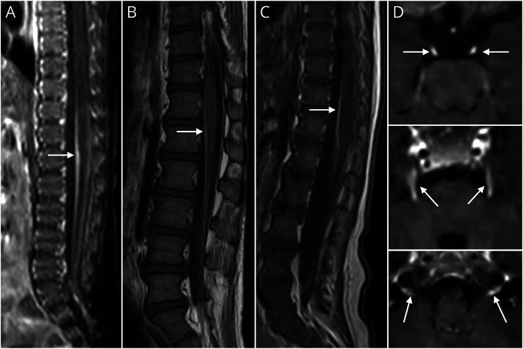 https://cdn.ncbi.nlm.nih.gov/pmc/blobs/9341/11223746/a6843a0ad86c/NXG-2023-000340f3.jpg