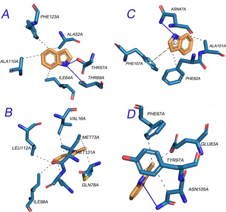 https://cdn.ncbi.nlm.nih.gov/pmc/blobs/9341/12173412/897455aacd86/pntd.0013139.g004.jpg
