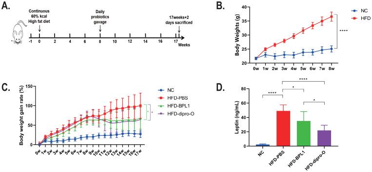 https://cdn.ncbi.nlm.nih.gov/pmc/blobs/9342/12179985/8402bb85a3b6/fendo-16-1519058-g001.jpg