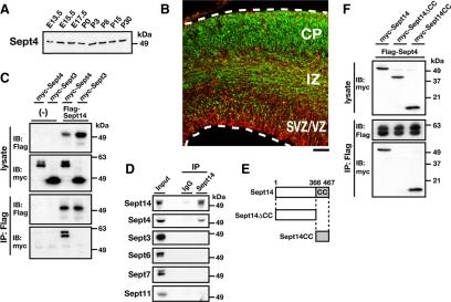 https://cdn.ncbi.nlm.nih.gov/pmc/blobs/9343/2854091/21d80f362108/zmk0081094200004.jpg