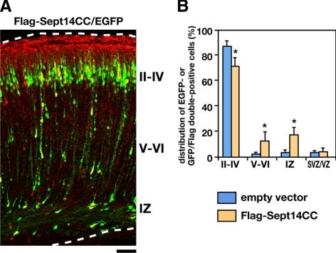 https://cdn.ncbi.nlm.nih.gov/pmc/blobs/9343/2854091/2dc530bb90e3/zmk0081094200007.jpg