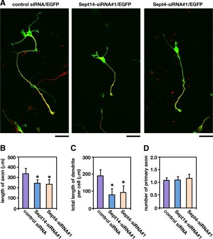 https://cdn.ncbi.nlm.nih.gov/pmc/blobs/9343/2854091/8a2413a59d5d/zmk0081094200009.jpg