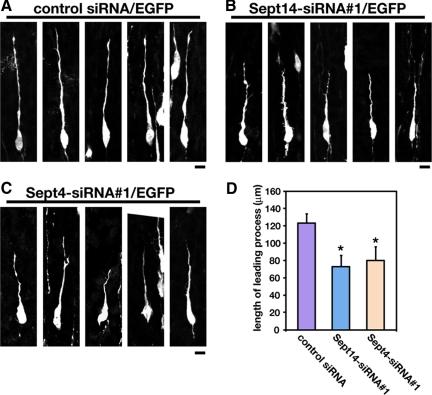 https://cdn.ncbi.nlm.nih.gov/pmc/blobs/9343/2854091/b5ba9637cc61/zmk0081094200008.jpg