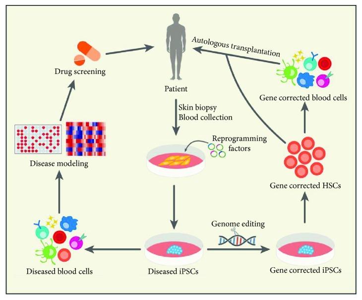 https://cdn.ncbi.nlm.nih.gov/pmc/blobs/934b/6525795/5d9eb530255f/SCI2019-5171032.001.jpg