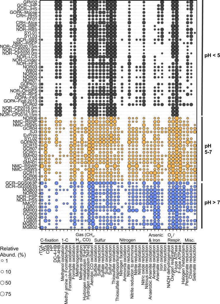 https://cdn.ncbi.nlm.nih.gov/pmc/blobs/934d/11362583/925a264f9ca1/41467_2024_51841_Fig5_HTML.jpg