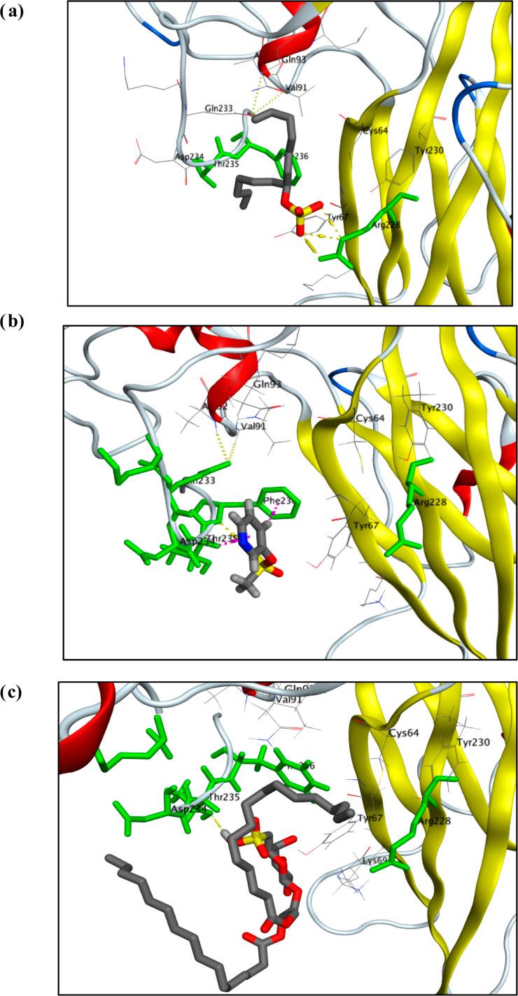 https://cdn.ncbi.nlm.nih.gov/pmc/blobs/934e/11058476/e11271a17d65/d4ra01966k-f3.jpg