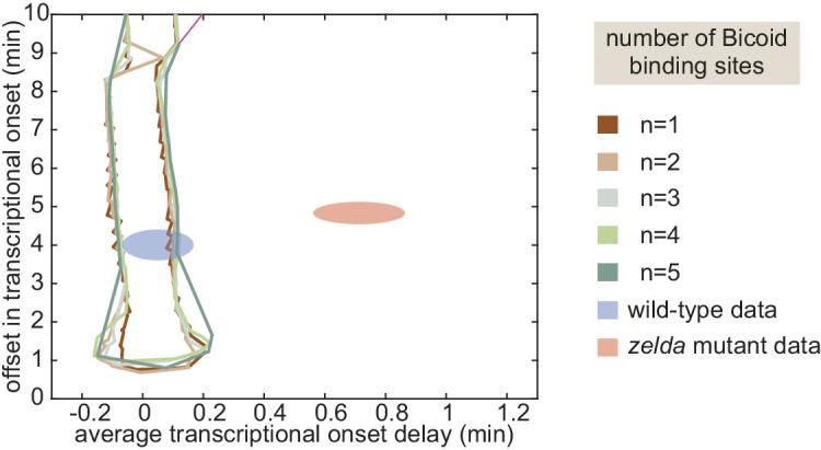 https://cdn.ncbi.nlm.nih.gov/pmc/blobs/934e/7738189/0a9dfbd4e3e2/elife-56429-app1-fig13.jpg