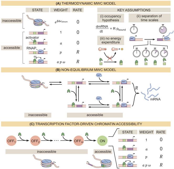 https://cdn.ncbi.nlm.nih.gov/pmc/blobs/934e/7738189/1942dfe13526/elife-56429-fig1.jpg