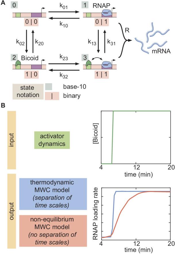 https://cdn.ncbi.nlm.nih.gov/pmc/blobs/934e/7738189/660fd8d670c4/elife-56429-app1-fig12.jpg