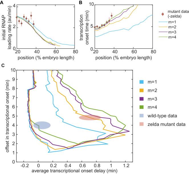 https://cdn.ncbi.nlm.nih.gov/pmc/blobs/934e/7738189/787f322ddfe2/elife-56429-app1-fig14.jpg