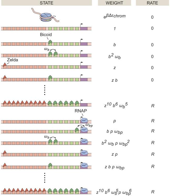 https://cdn.ncbi.nlm.nih.gov/pmc/blobs/934e/7738189/e7494814fa22/elife-56429-app1-fig2.jpg
