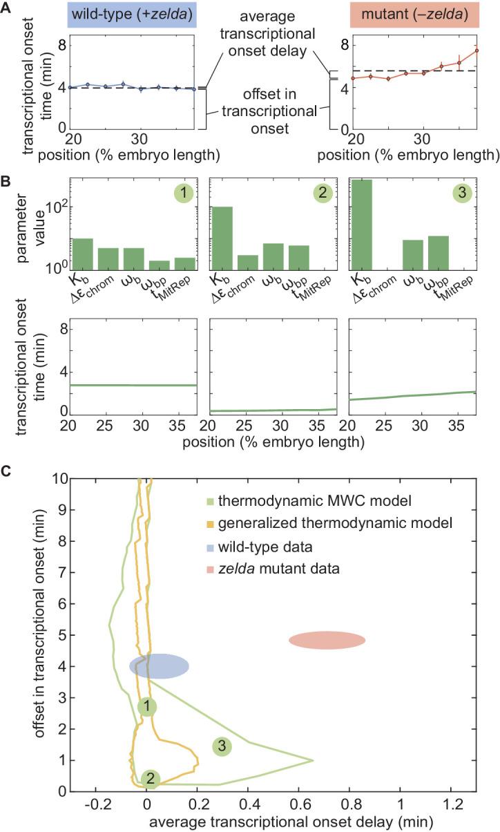 https://cdn.ncbi.nlm.nih.gov/pmc/blobs/934e/7738189/fddfa46b130b/elife-56429-fig5.jpg