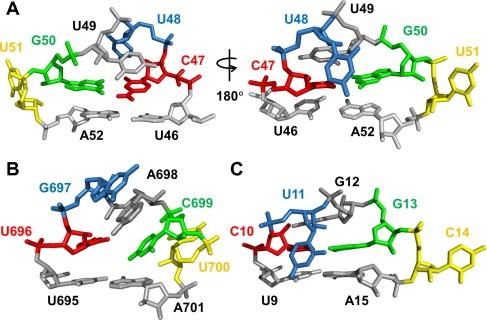 https://cdn.ncbi.nlm.nih.gov/pmc/blobs/9350/7232744/37224b38b3fd/FEB2-585-1049-g003.jpg