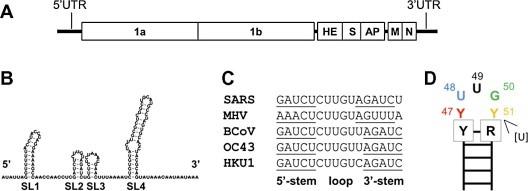 https://cdn.ncbi.nlm.nih.gov/pmc/blobs/9350/7232744/6f8d21044281/FEB2-585-1049-g001.jpg