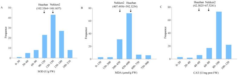 https://cdn.ncbi.nlm.nih.gov/pmc/blobs/9351/10674301/4b3e9473d9f9/plants-12-03812-g001.jpg