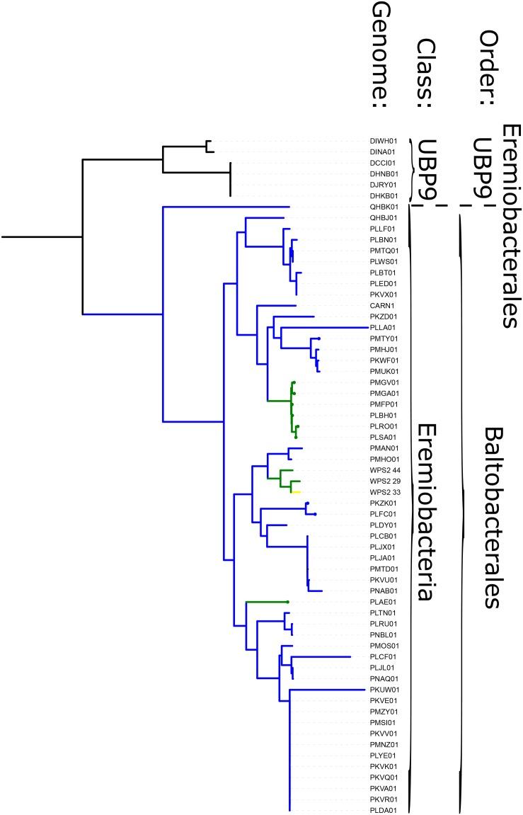 https://cdn.ncbi.nlm.nih.gov/pmc/blobs/9352/6664022/5692c26b2b38/fmicb-10-01658-g003.jpg
