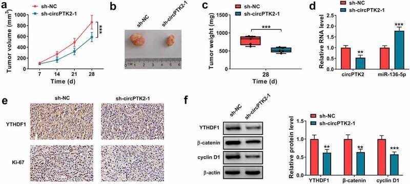 https://cdn.ncbi.nlm.nih.gov/pmc/blobs/9352/8805883/87810d659171/KBIE_A_2012952_F0008_OC.jpg