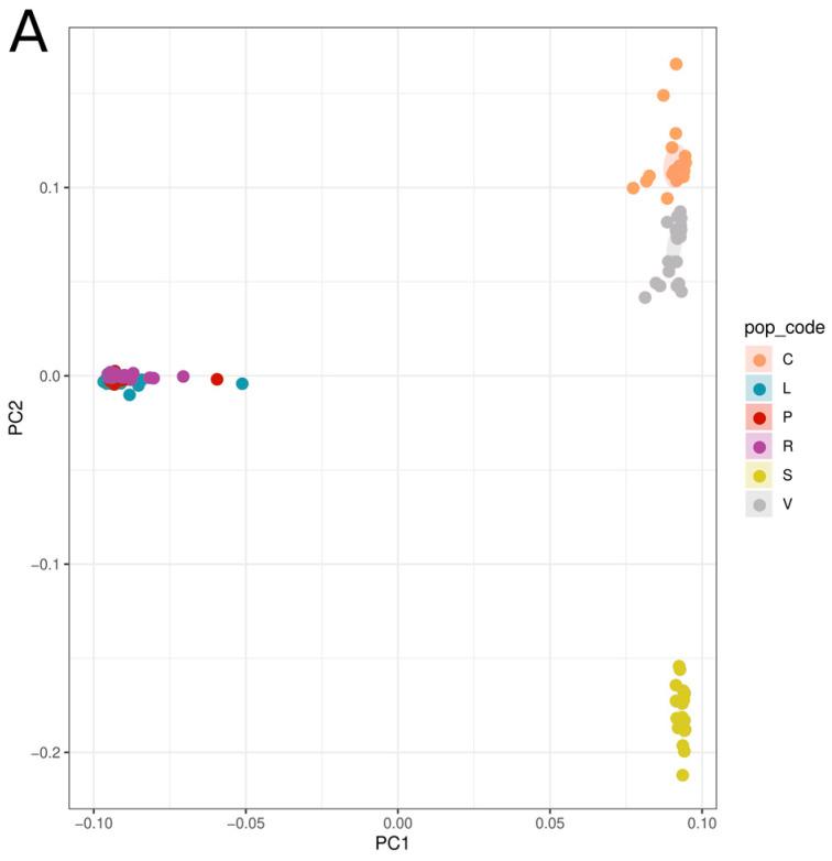 https://cdn.ncbi.nlm.nih.gov/pmc/blobs/9353/10934427/6d3897f05912/plants-13-00654-g001a.jpg