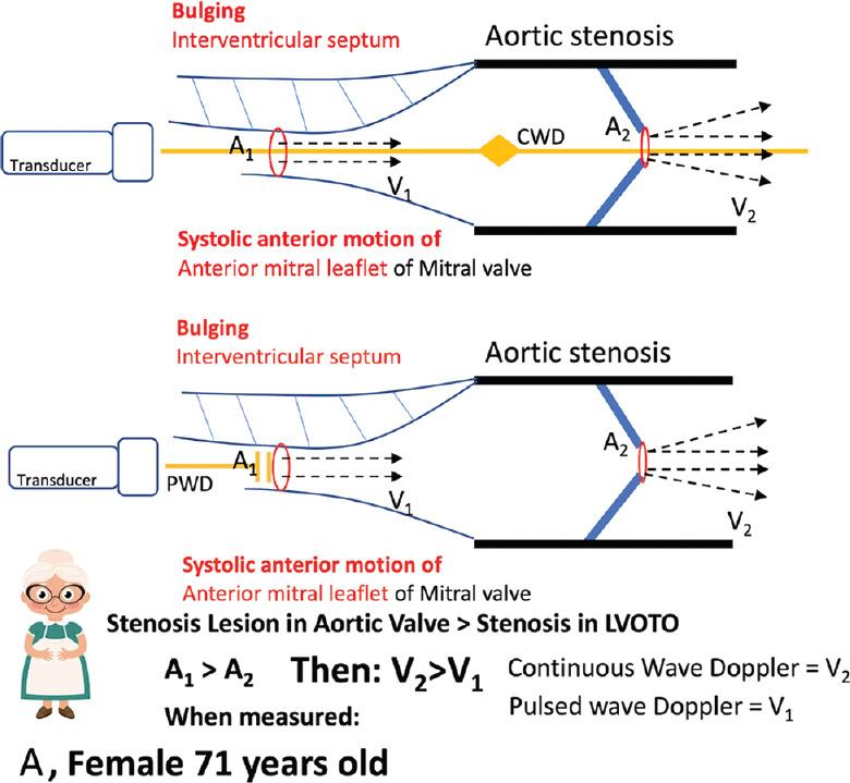 https://cdn.ncbi.nlm.nih.gov/pmc/blobs/9354/7706381/393f8cfd1318/JCE-30-104-g007.jpg