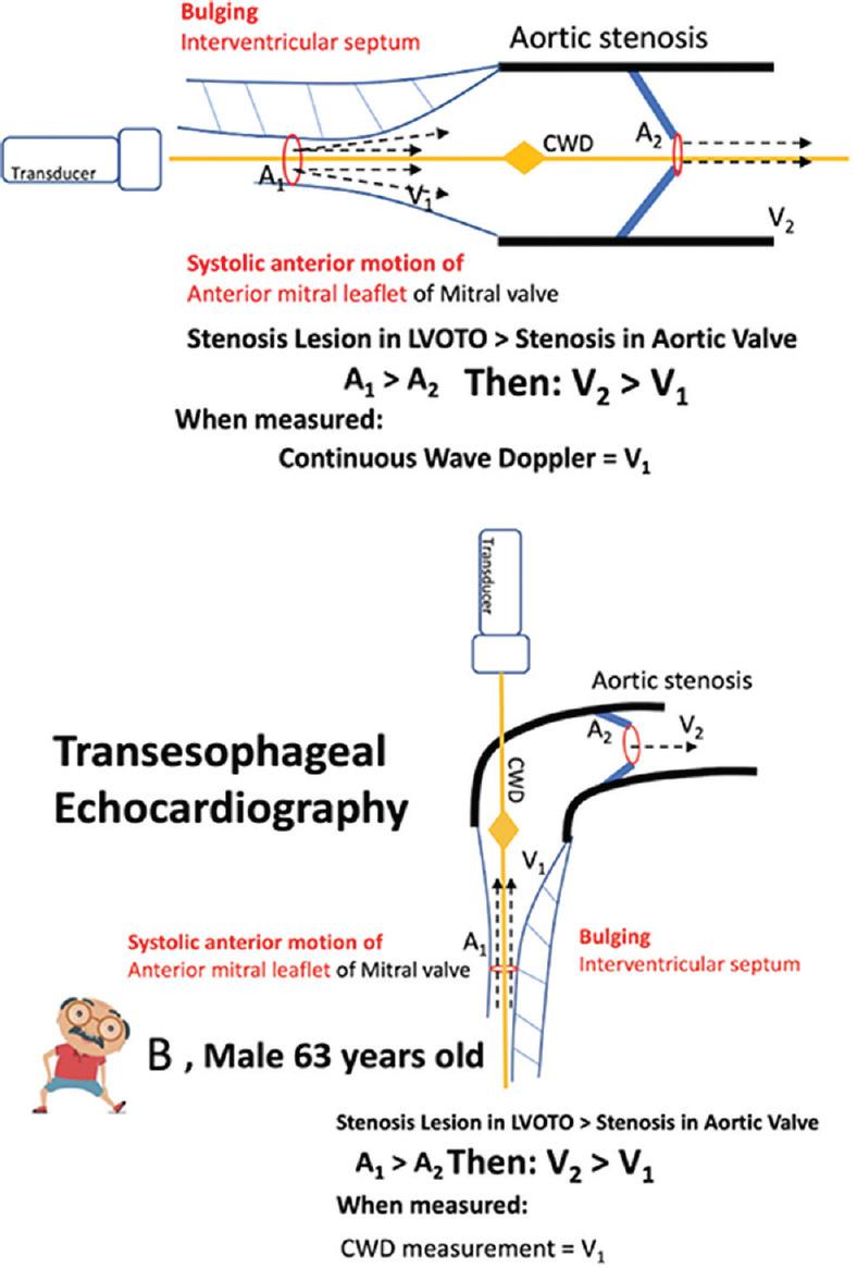 https://cdn.ncbi.nlm.nih.gov/pmc/blobs/9354/7706381/f8110bed5d08/JCE-30-104-g008.jpg