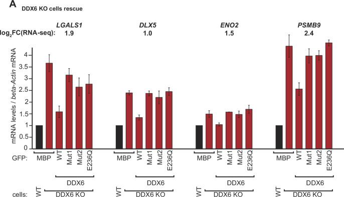 https://cdn.ncbi.nlm.nih.gov/pmc/blobs/9357/11239181/8297ab8b5d71/elife-92426-fig3-figsupp3.jpg