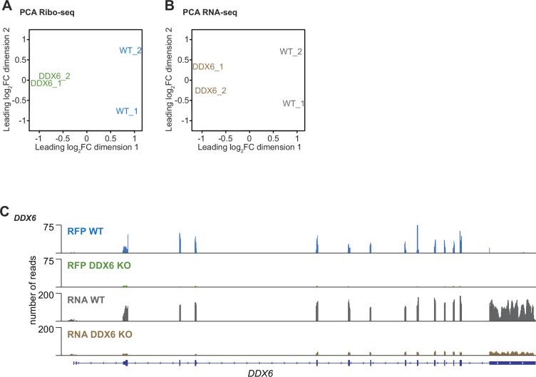 https://cdn.ncbi.nlm.nih.gov/pmc/blobs/9357/11239181/b871127679ae/elife-92426-fig2-figsupp1.jpg