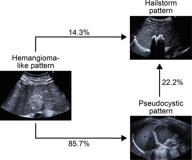 https://cdn.ncbi.nlm.nih.gov/pmc/blobs/9357/12143886/c3bd4c0a2dae/vis-2025-0000-0000-545080_F07.jpg